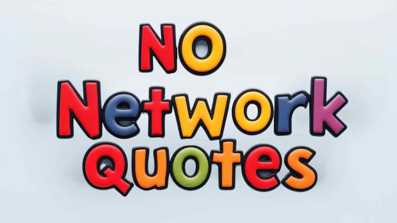 no network quotes