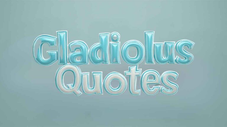 gladiolus quotes